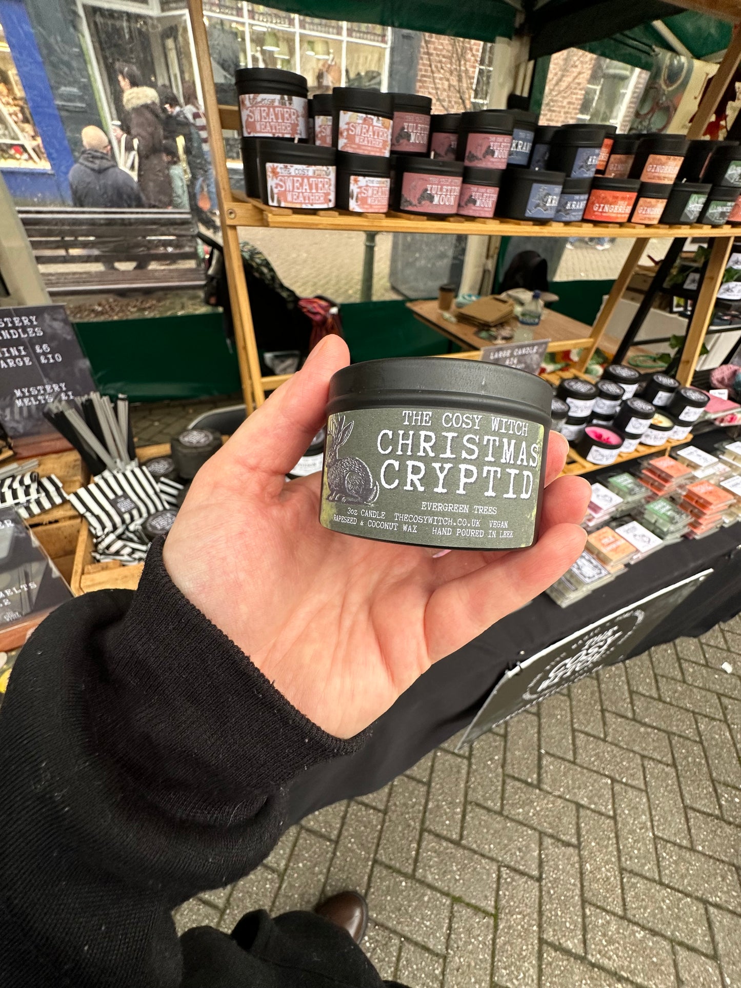 Christmas Cryptid🌲- Evergreen Trees