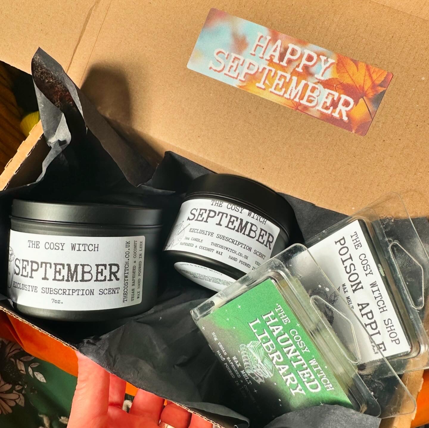 Cosy Ghoul Monthly Box