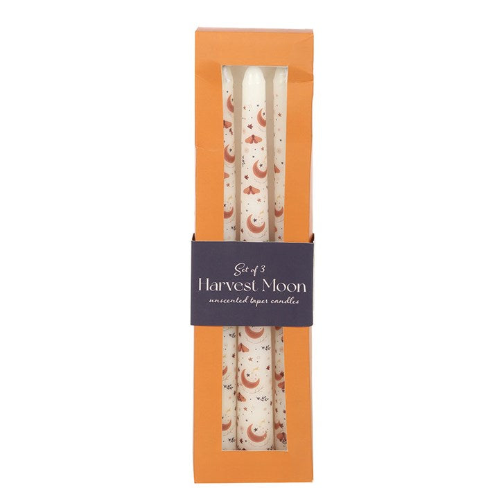 3 Autumn Moon Taper Candles