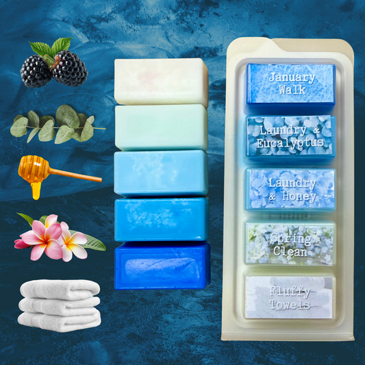 Reset & Manifest Edition Melt Bar - 5 Fresh Scents