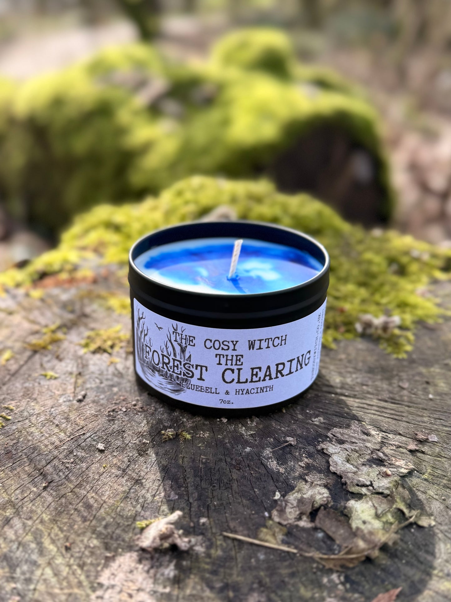 The Forest Clearing
