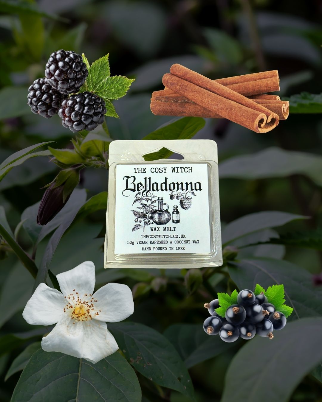 Belladonna - Spiced Blackberry Jam