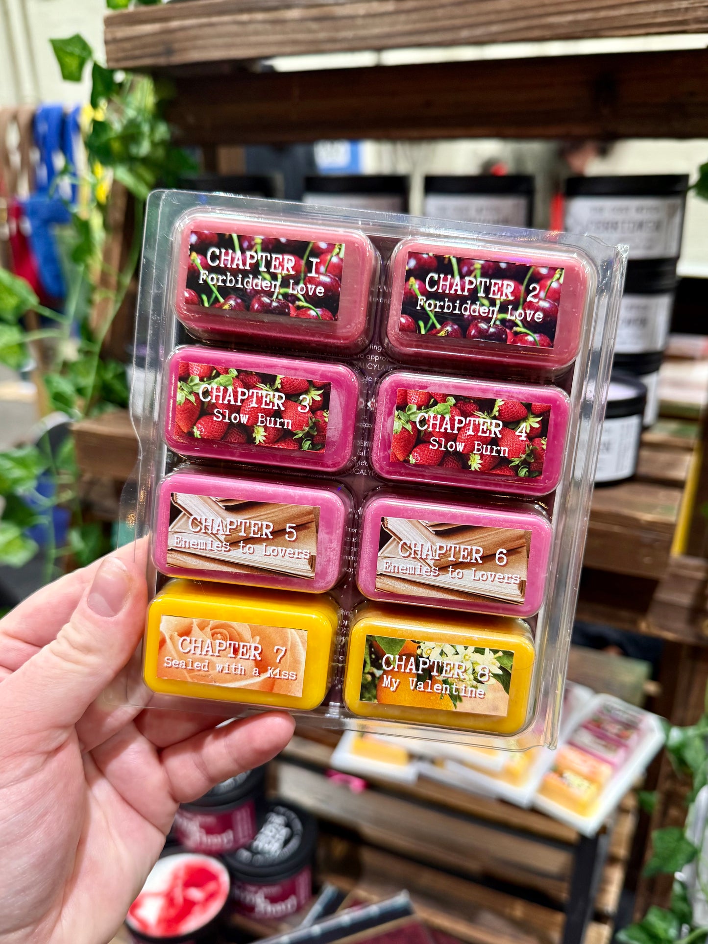 The Tale of the Forbidden Lovers - Wax Melt Book