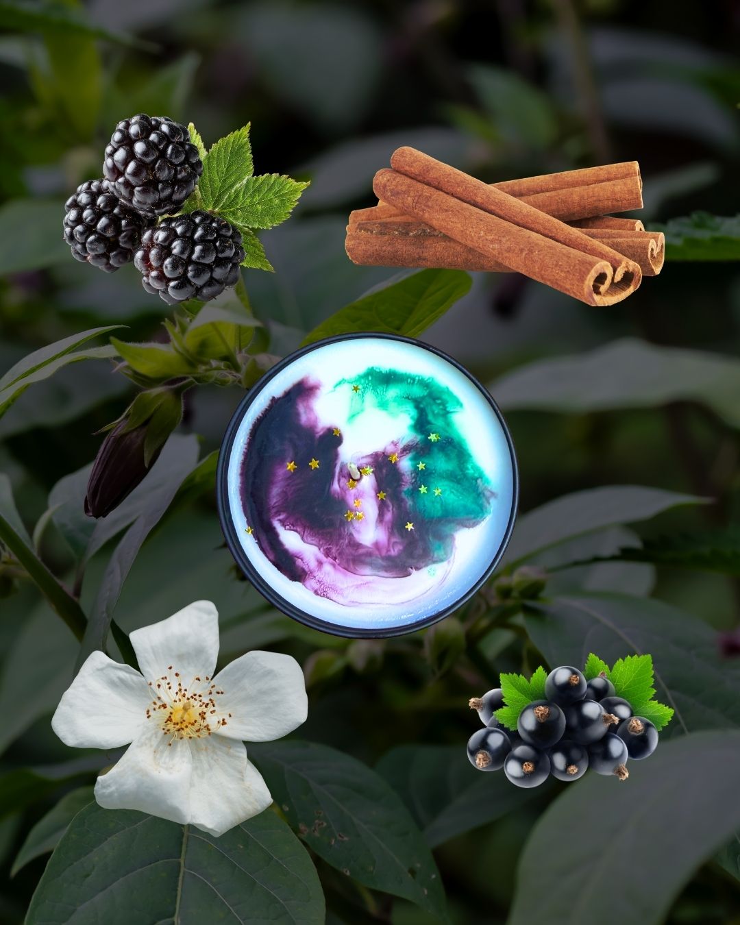 Belladonna - Spiced Blackberry Jam
