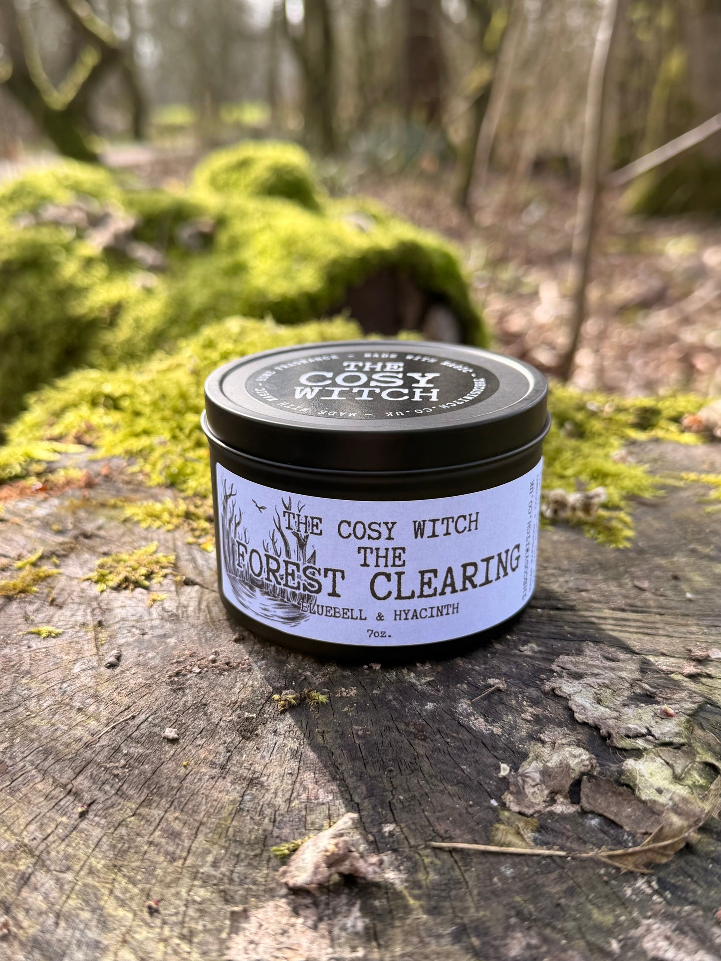 The Forest Clearing