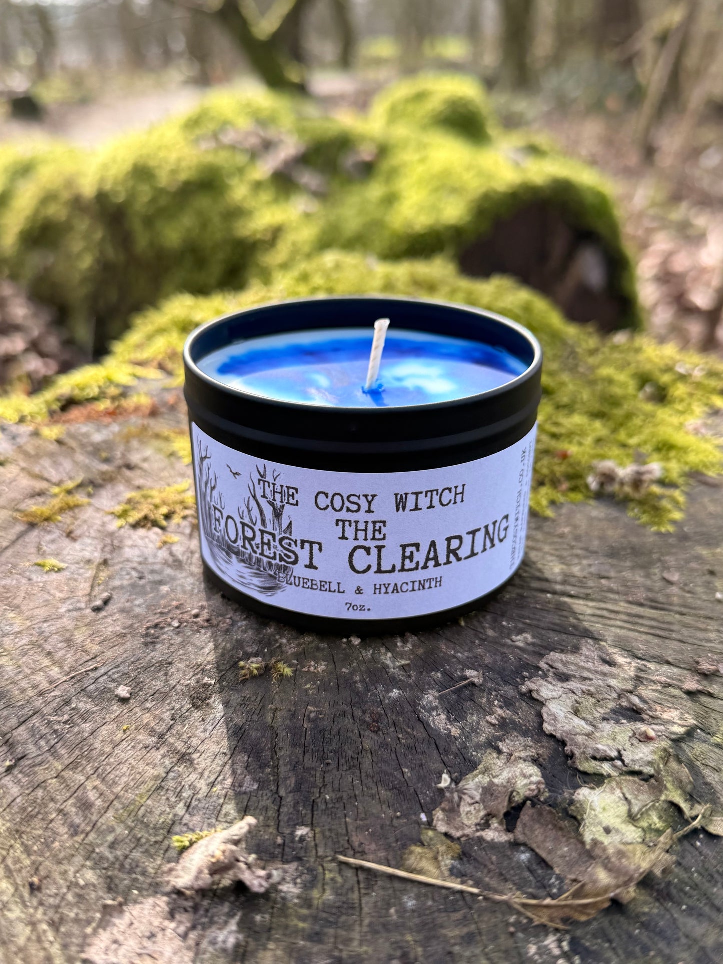 The Forest Clearing