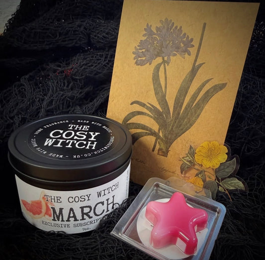 Temptress Monthly Box