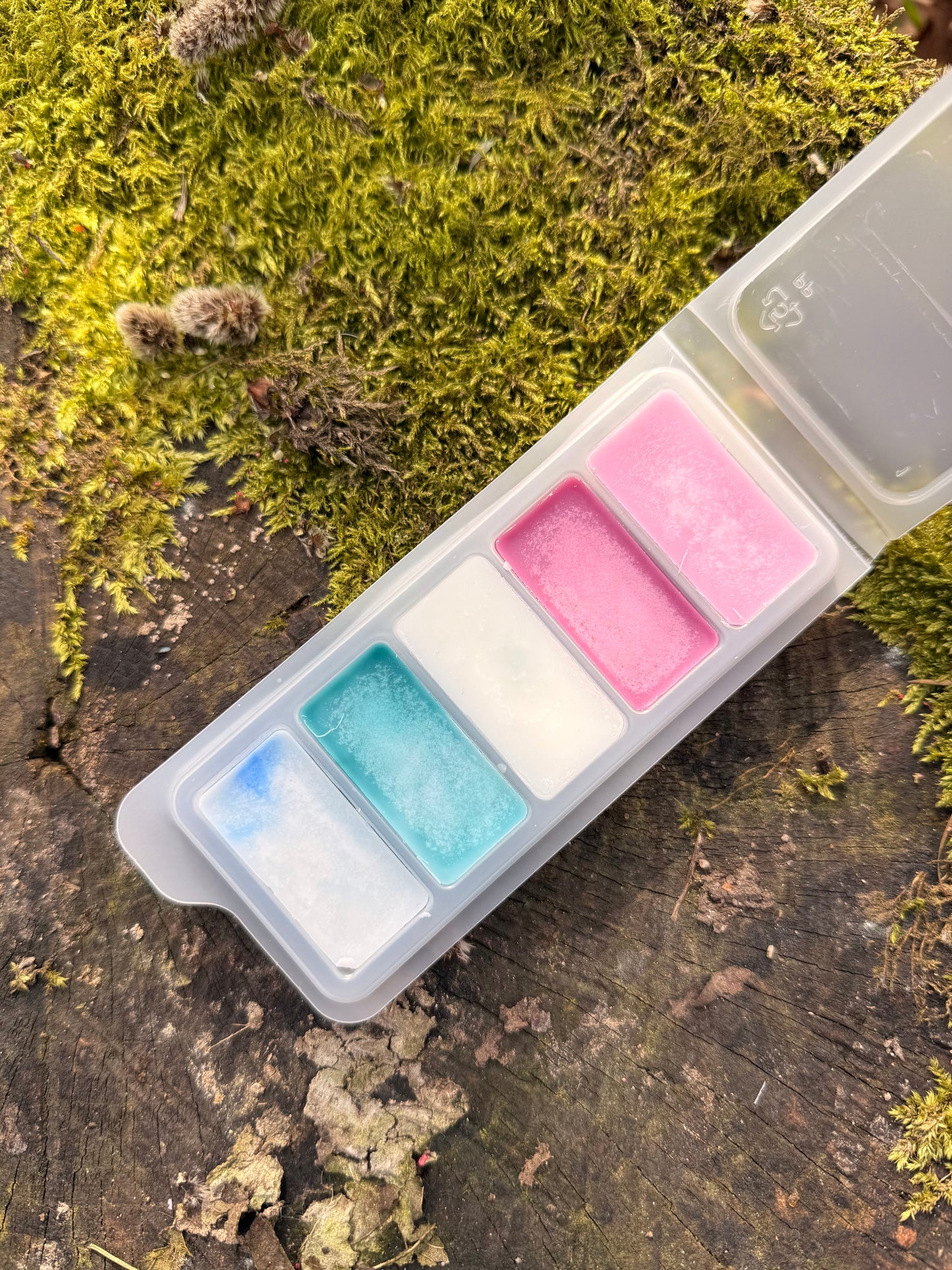 Spring 2026 Edition Melt Bar - 5 Fresh Scents